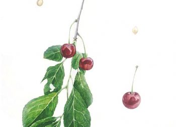 Vysnios