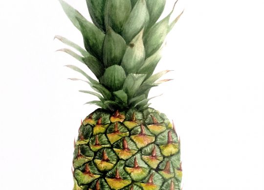 20171011 163304