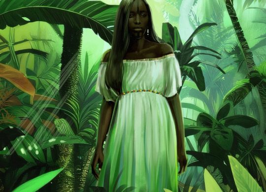 jungle illustration
